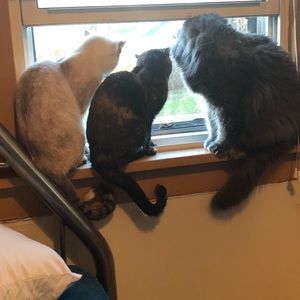 Meet your Posher, Melissa